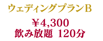 料理9品+飲み放題90分